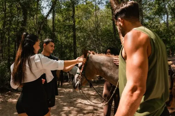Guests meeting the horses before a horseback ride